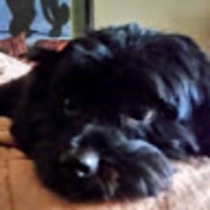 Meet your Posher, Gail